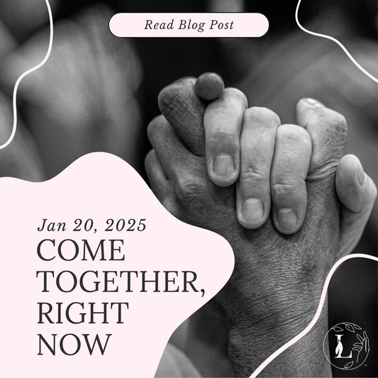 Come Together, Right Now - Jan 20, 2025 - Lady Lighthouse