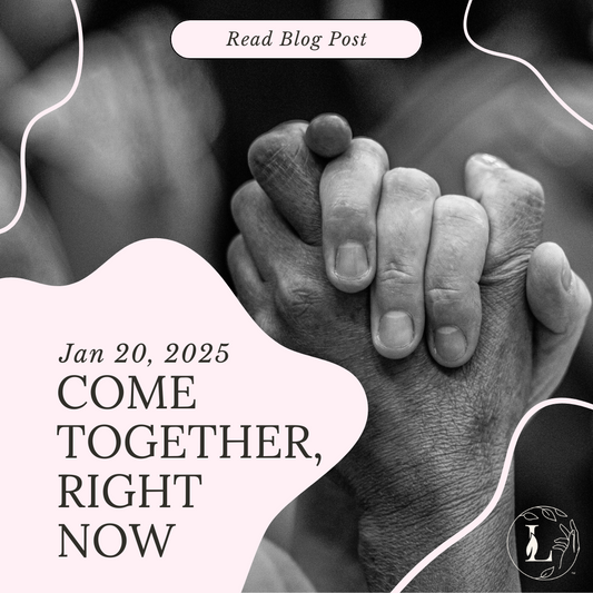 Come Together, Right Now - Jan 20, 2025 Lady Lighthouse Sisterhood of the sea