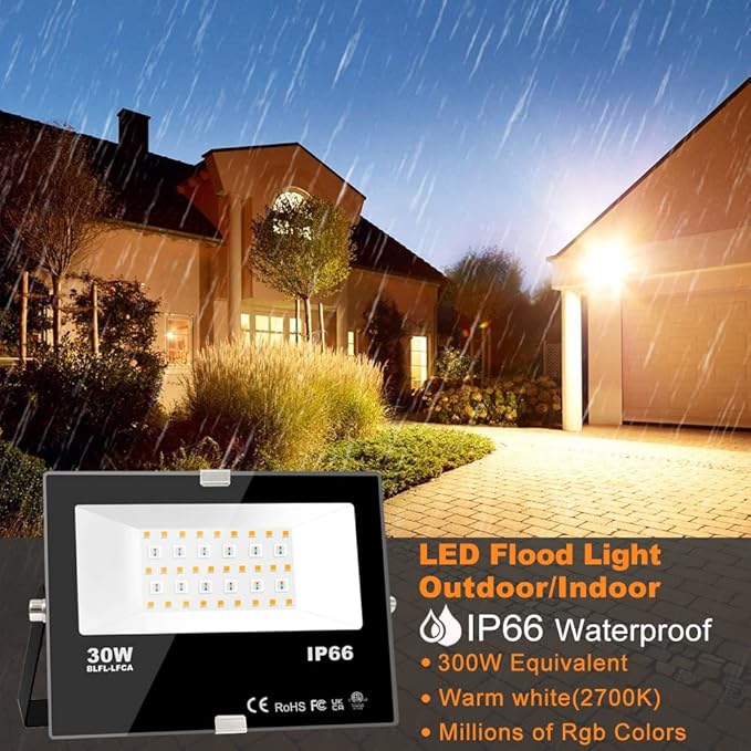 Bluetooth LED Flood Light - App-Controlled, Color-Changing with DIY Modes Lady Lighthouse