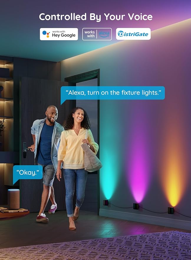 Alexa govee 2025