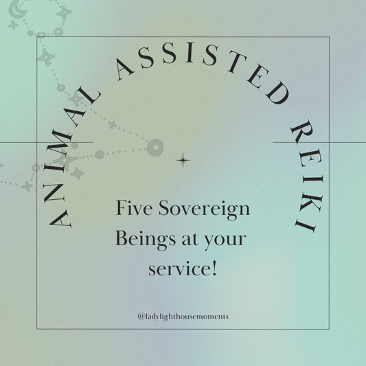 Animal Assisted Reiki 20 - min - Lady Lighthouse